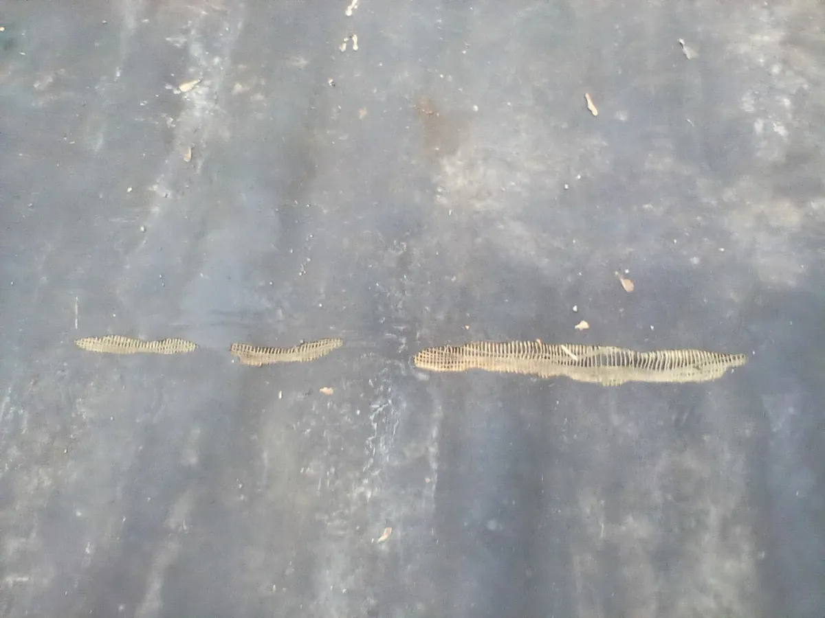 Slat mats and cow cubicle matteress - Image 3