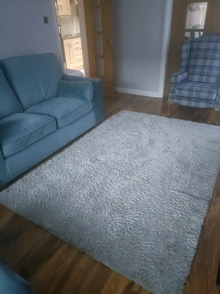 Large light grey rug ⬜ 🩶 - Image 1