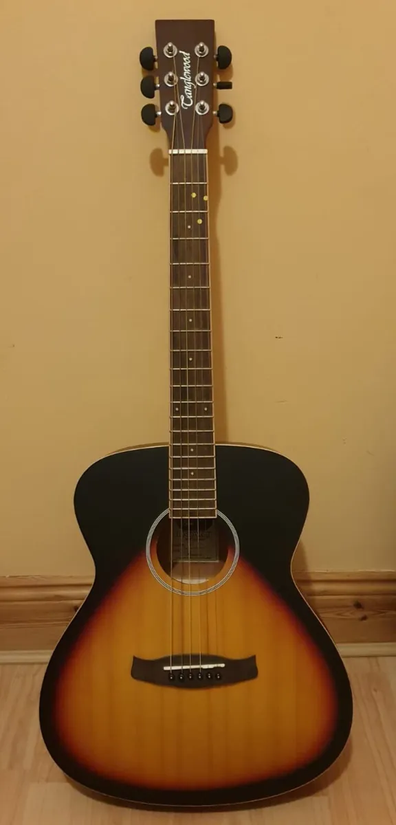Guitars 3/4 Tanglewood and Valencia Beginner - Image 1