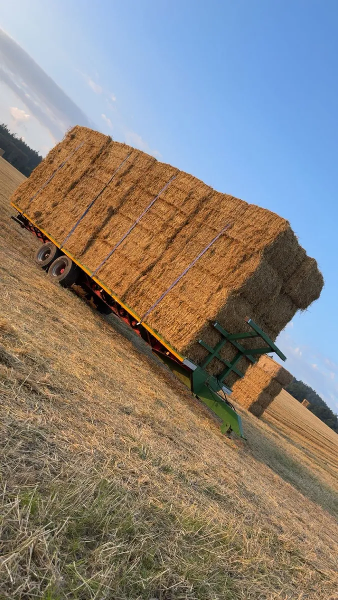 Wheaten straw for sale - Image 1