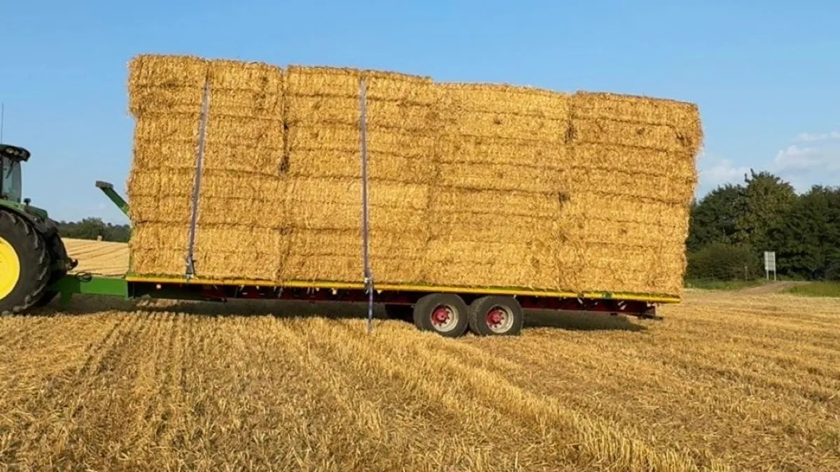 Wheaten straw for sale - Image 2
