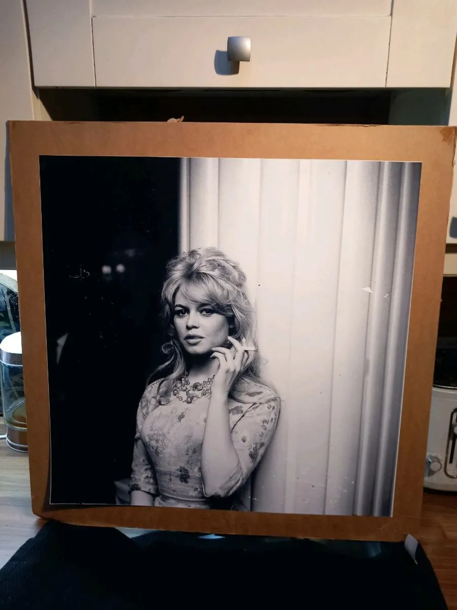 Large mounted print of Brigitte Bardot, D18 - Image 2
