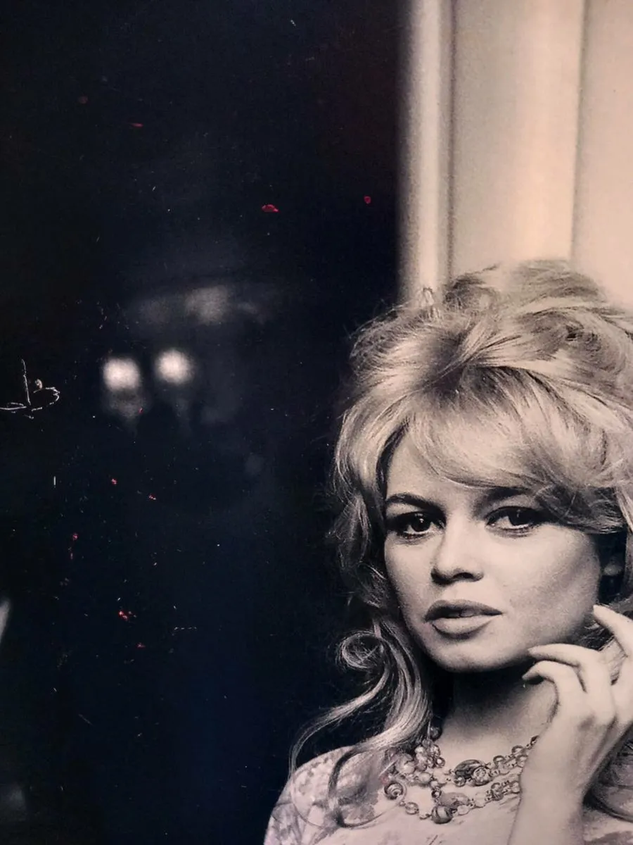 Large mounted print of Brigitte Bardot, D18 - Image 4