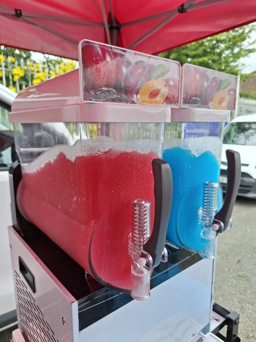Commercial Double Tank Slush & Granita Machine 2 x - Image 3