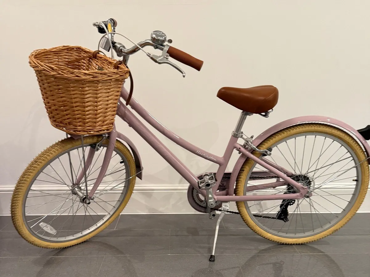 Junior 24 Inch Kids Bike - Image 1