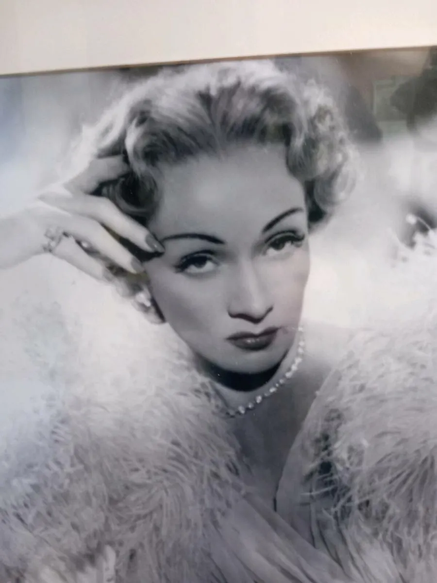 Large framed print of Marlene Dietrich, D18 - Image 3
