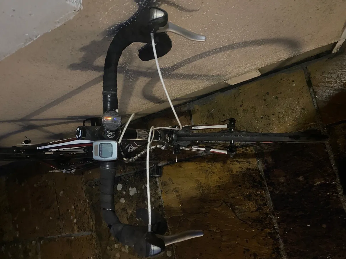 Trek Road Bike - Image 2