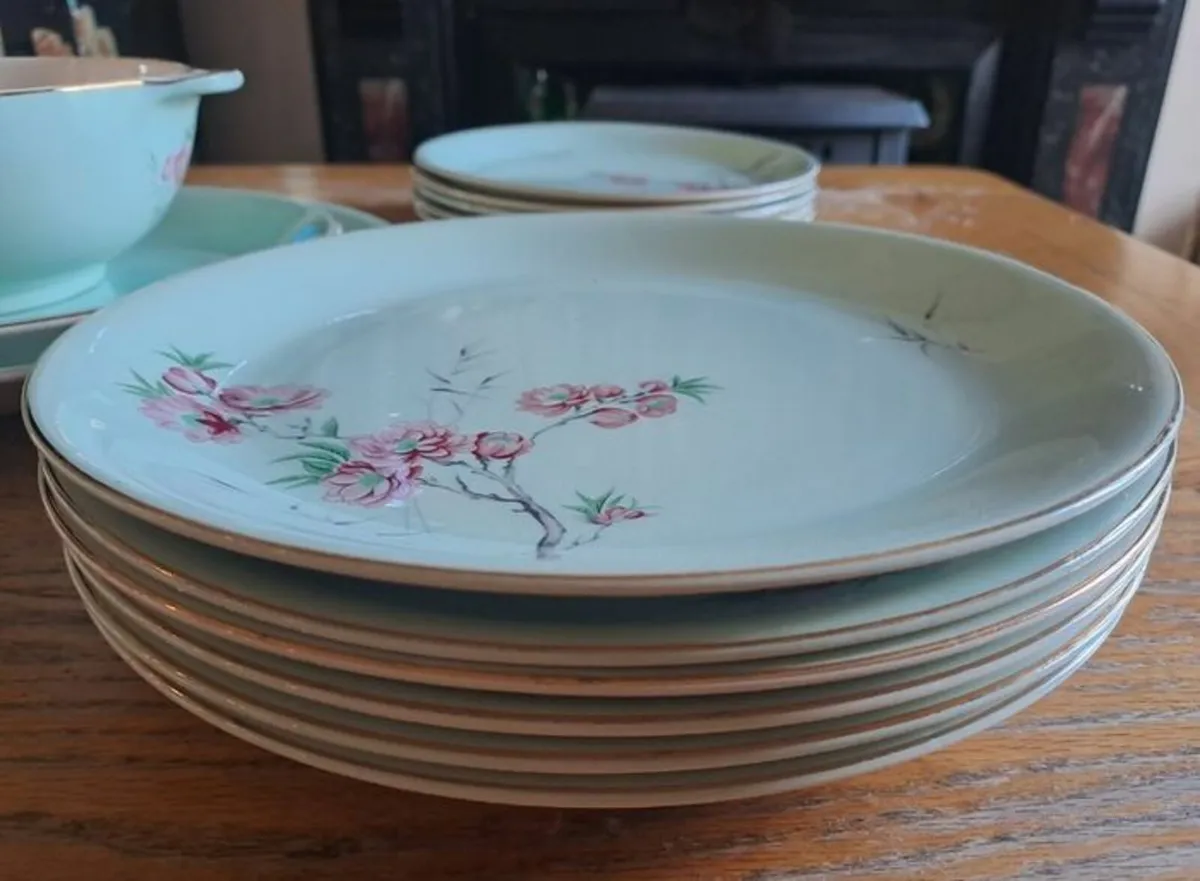 16 piece Alfred Meakin dinnerset - Image 3
