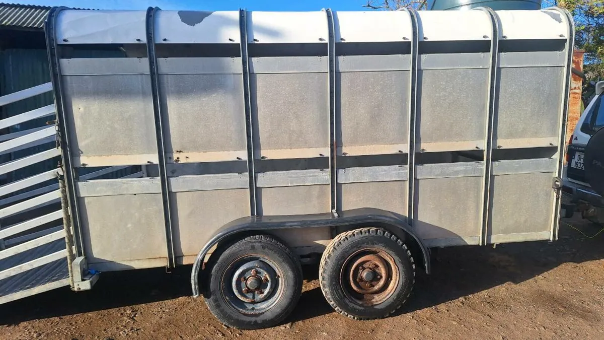 Ifor williams cattle trailer - Image 3
