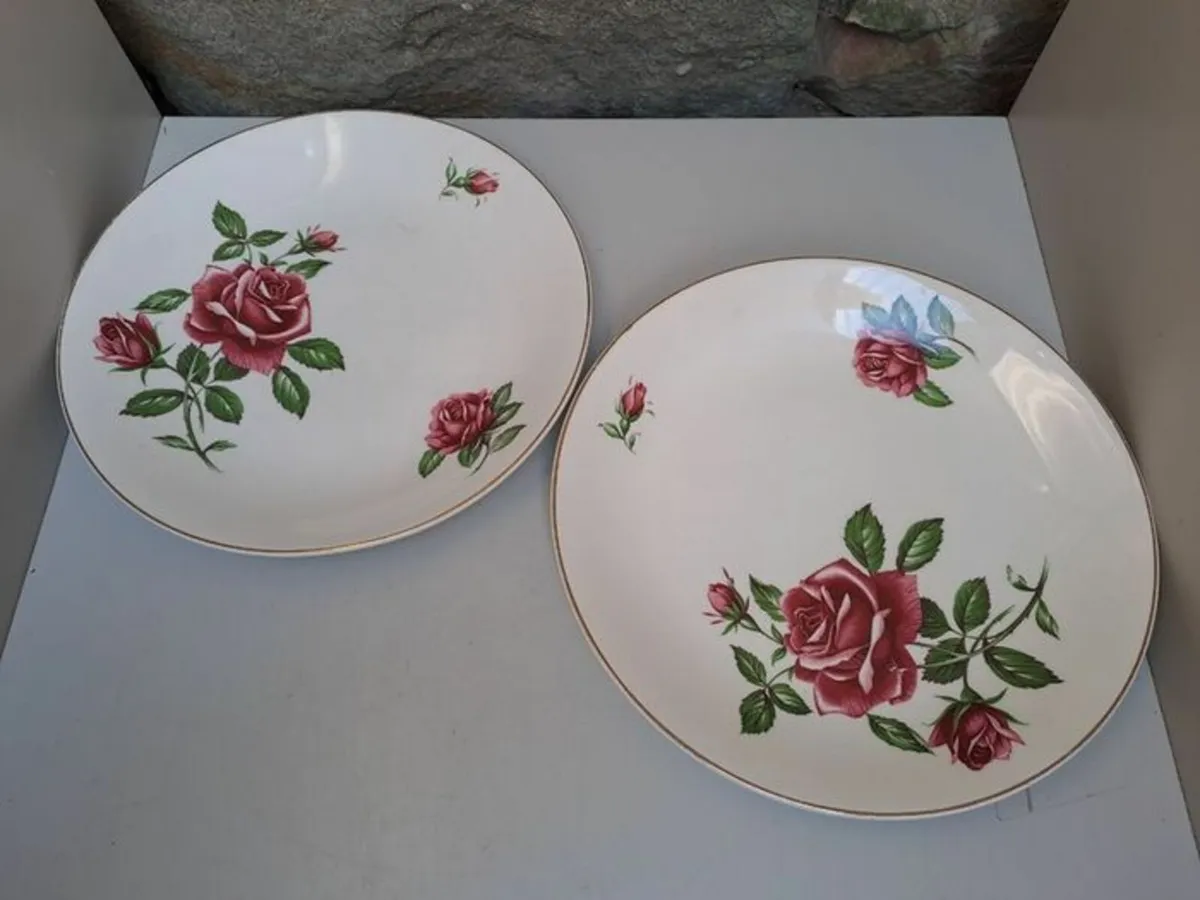 J and G Meakin rose Plates - Image 1