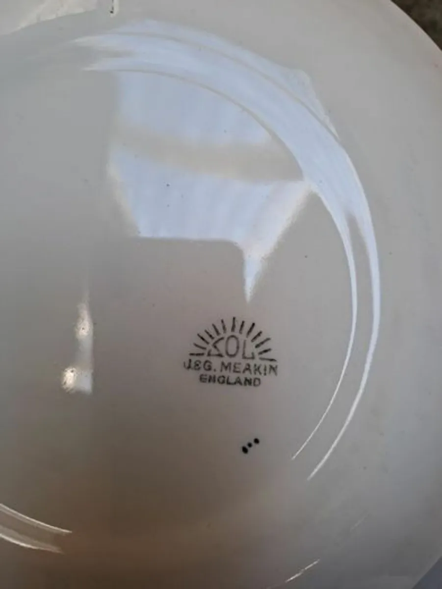 J and G Meakin rose Plates - Image 4