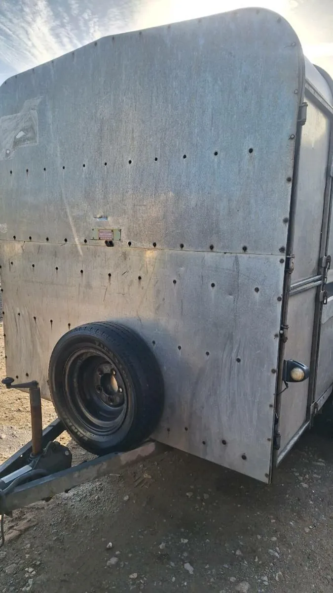 Ifor williams cattle trailer - Image 4