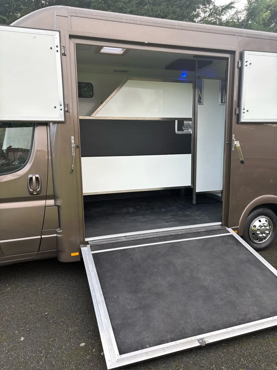 Citroen Relay 2018 Brand New Unused Horsebox - Image 2