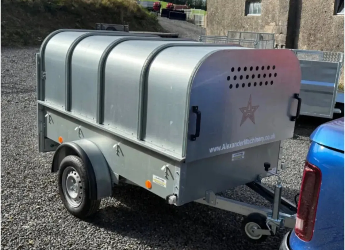 YOUNGSTOCK TRAILER 7x4 NEW - Image 4