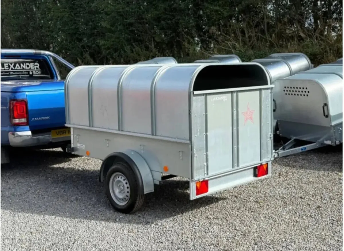 YOUNGSTOCK TRAILER 7x4 NEW - Image 2