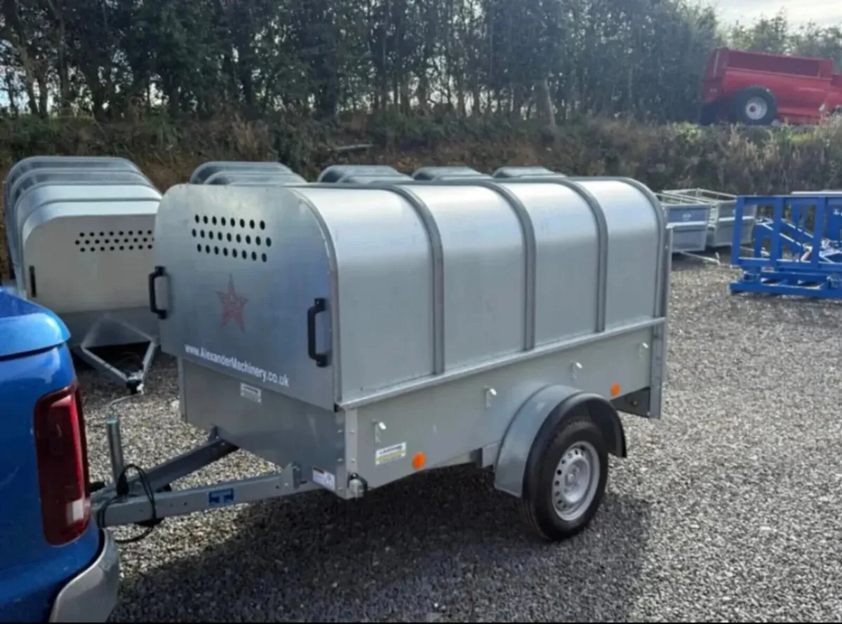 YOUNGSTOCK TRAILER 7x4 NEW - Image 1