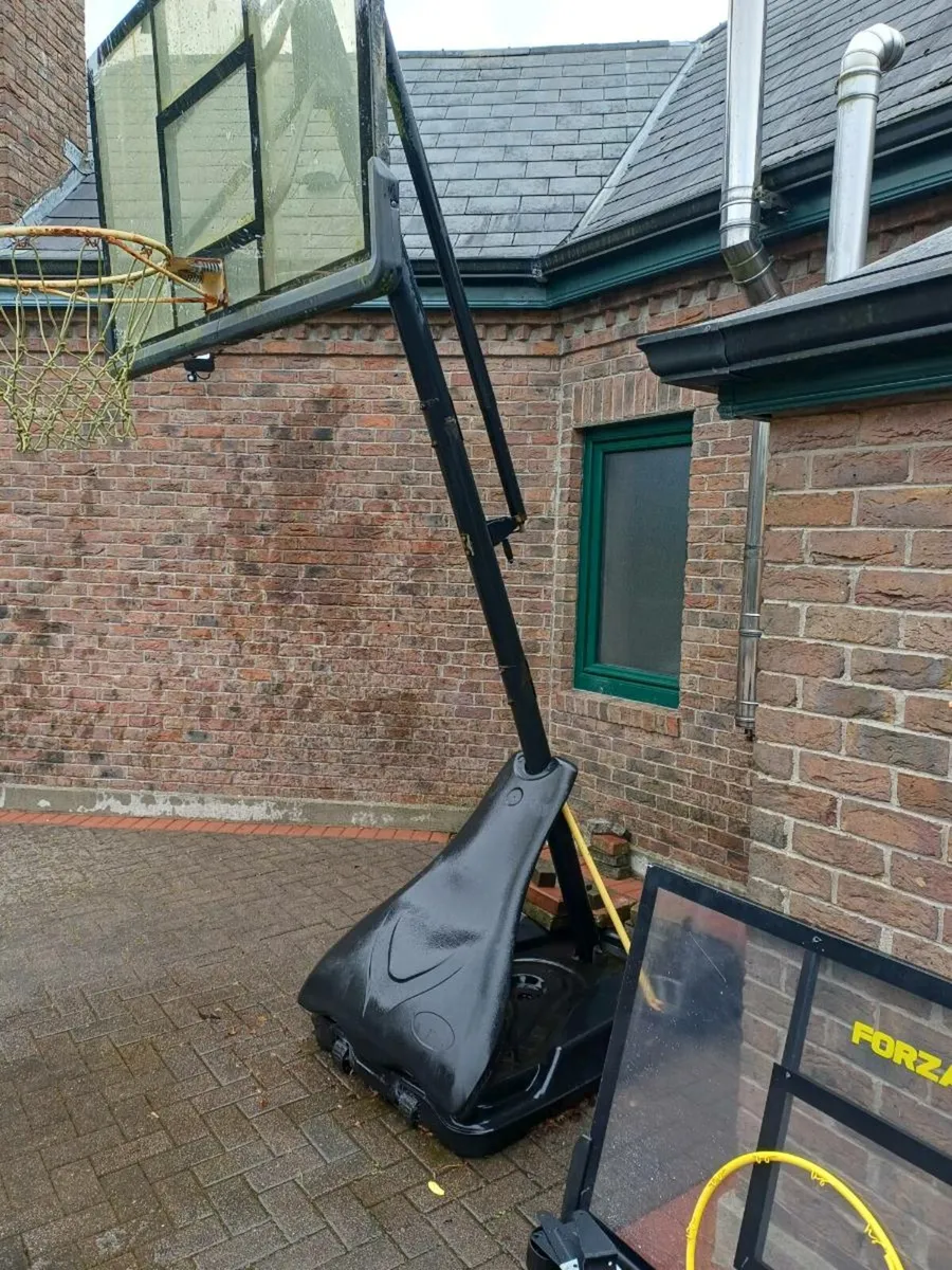 Forza JS420 Basketball Unit - Image 4