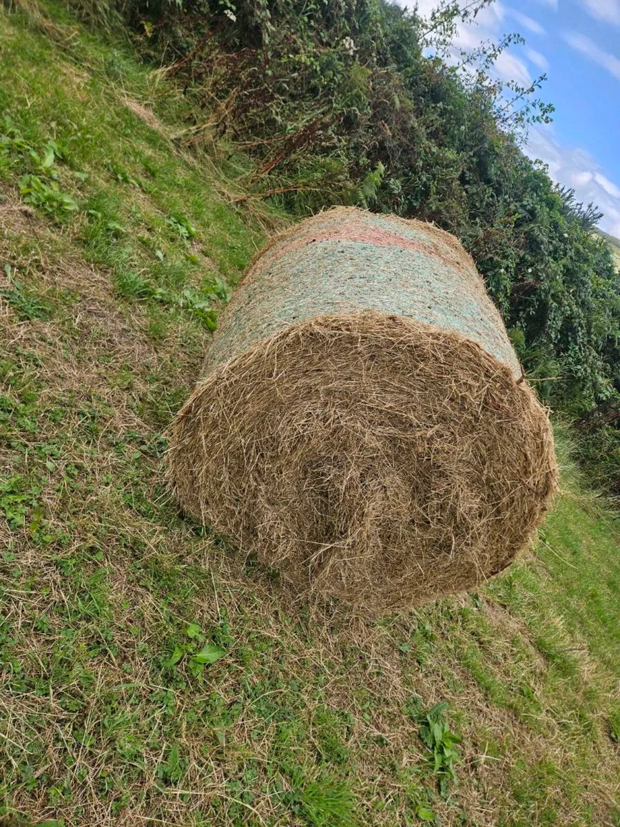 Haylage - Image 1