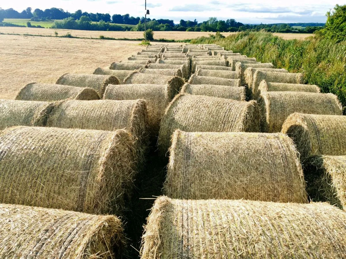 Hay and silage for sale. - Image 1