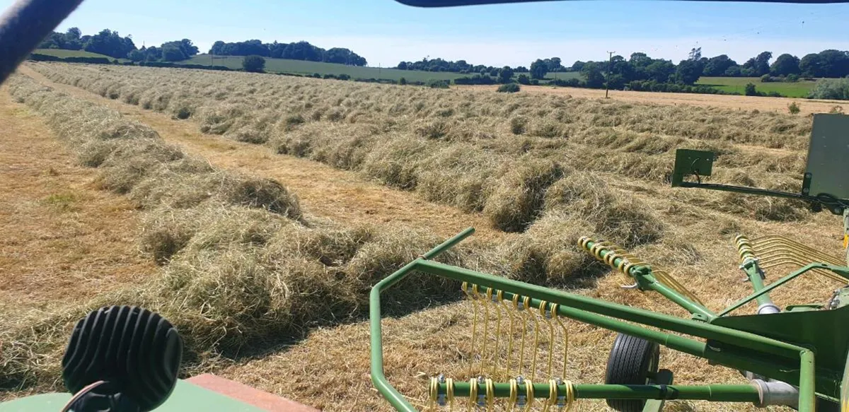 Hay and silage for sale. - Image 4