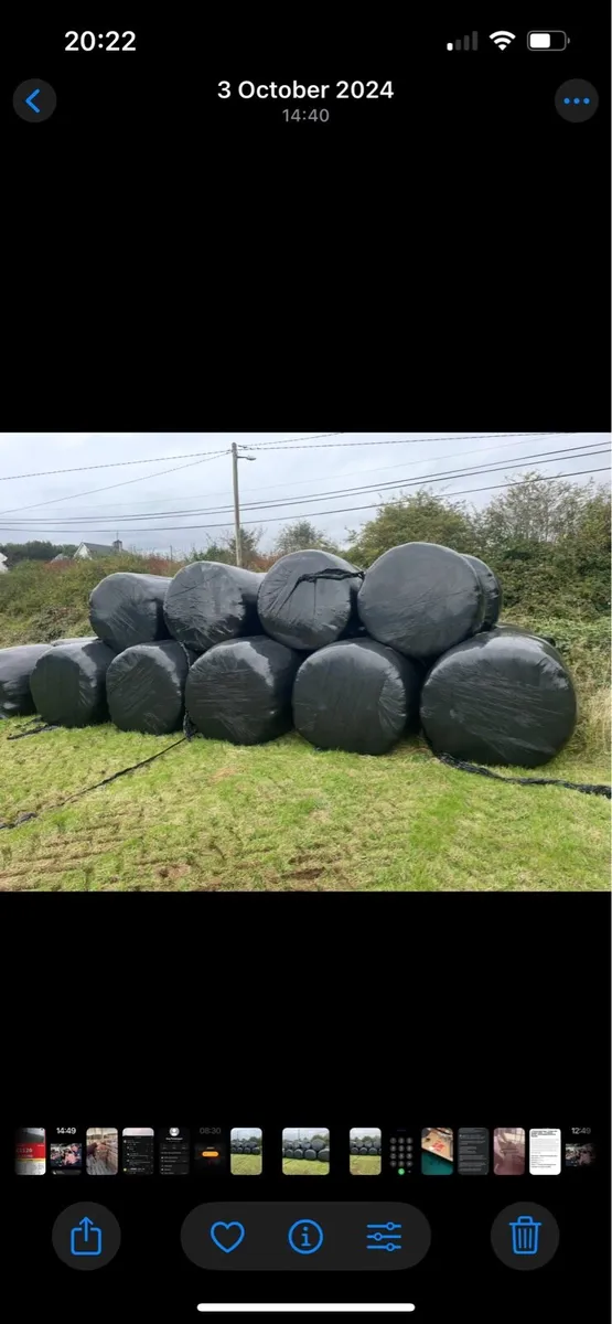 Silage bales