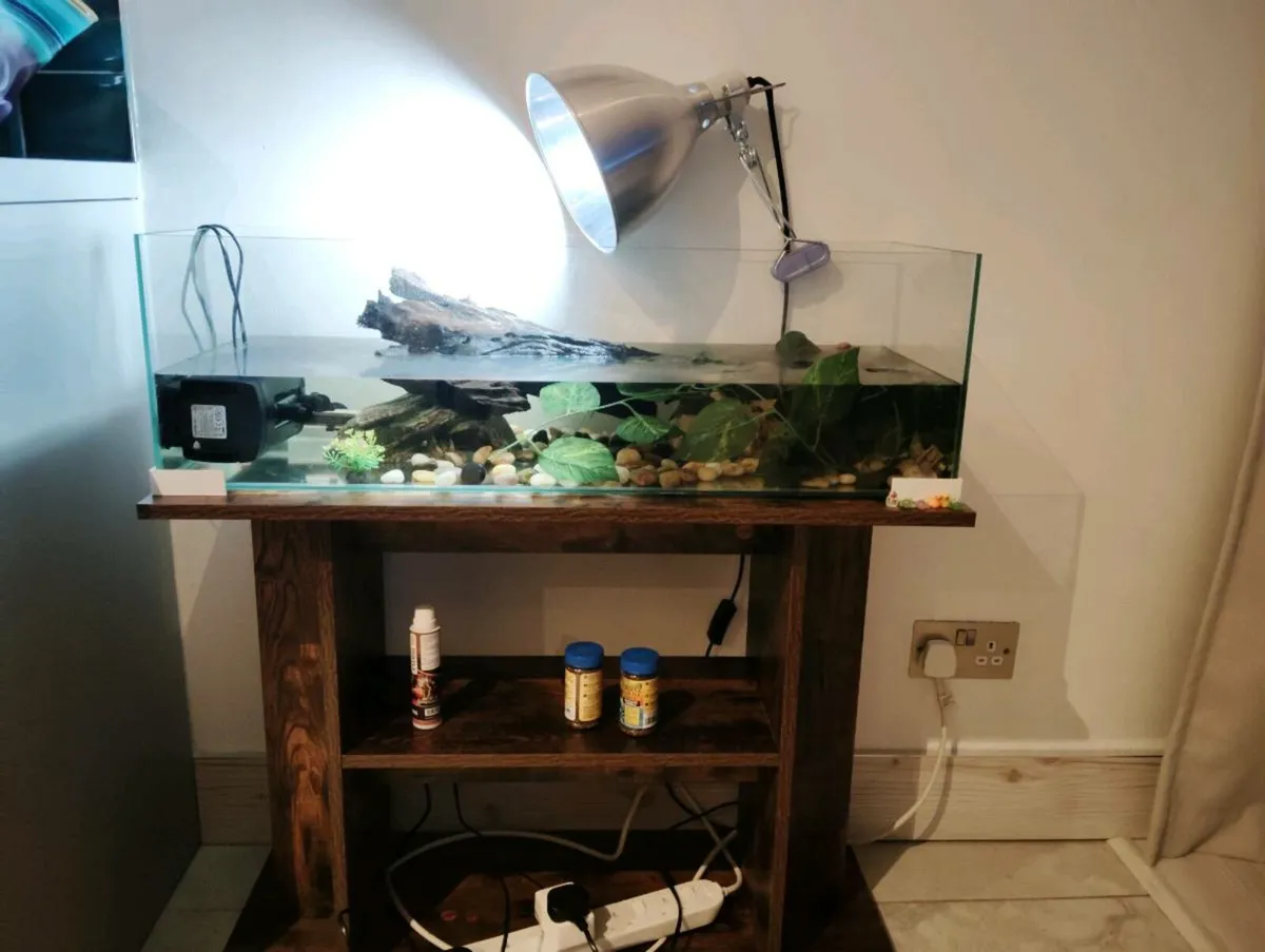 Turtle Tank - Image 1