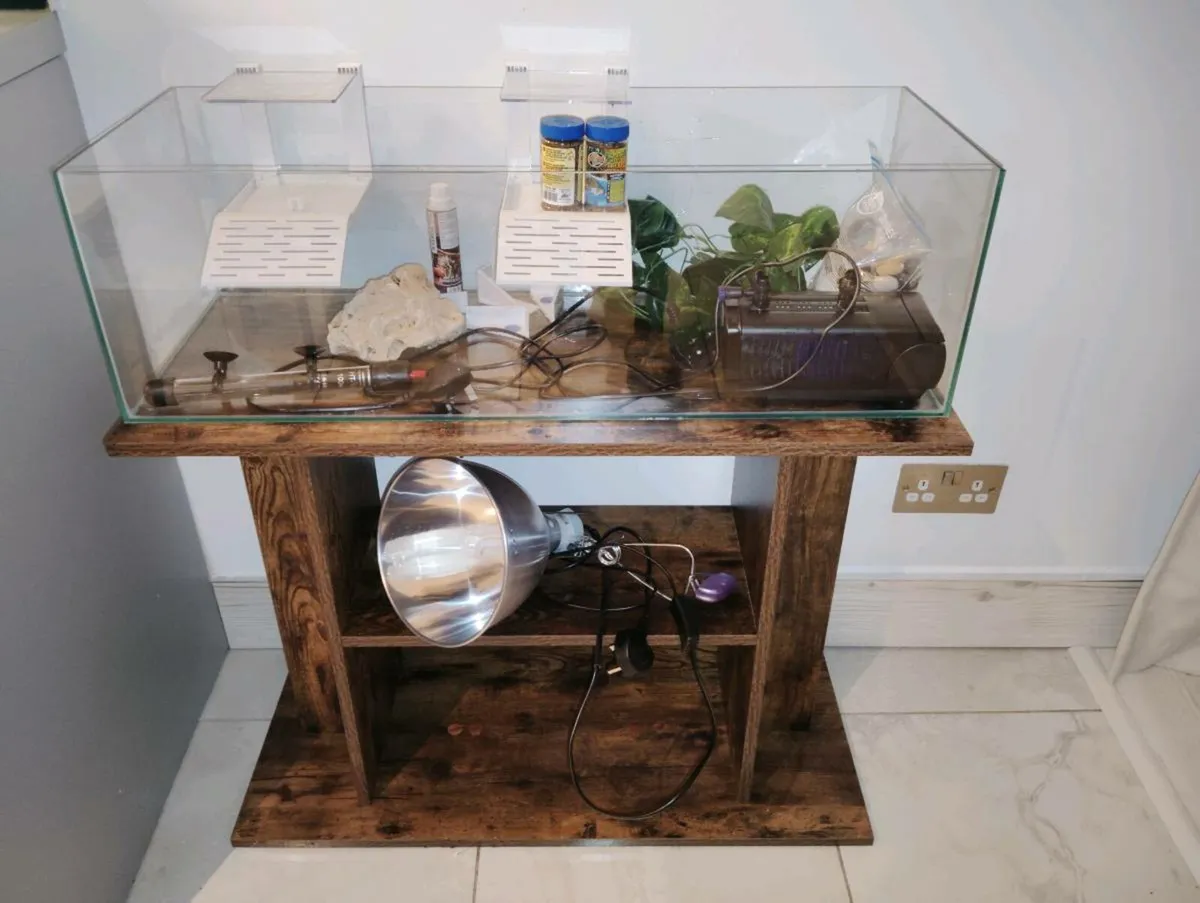 Turtle Tank - Image 2