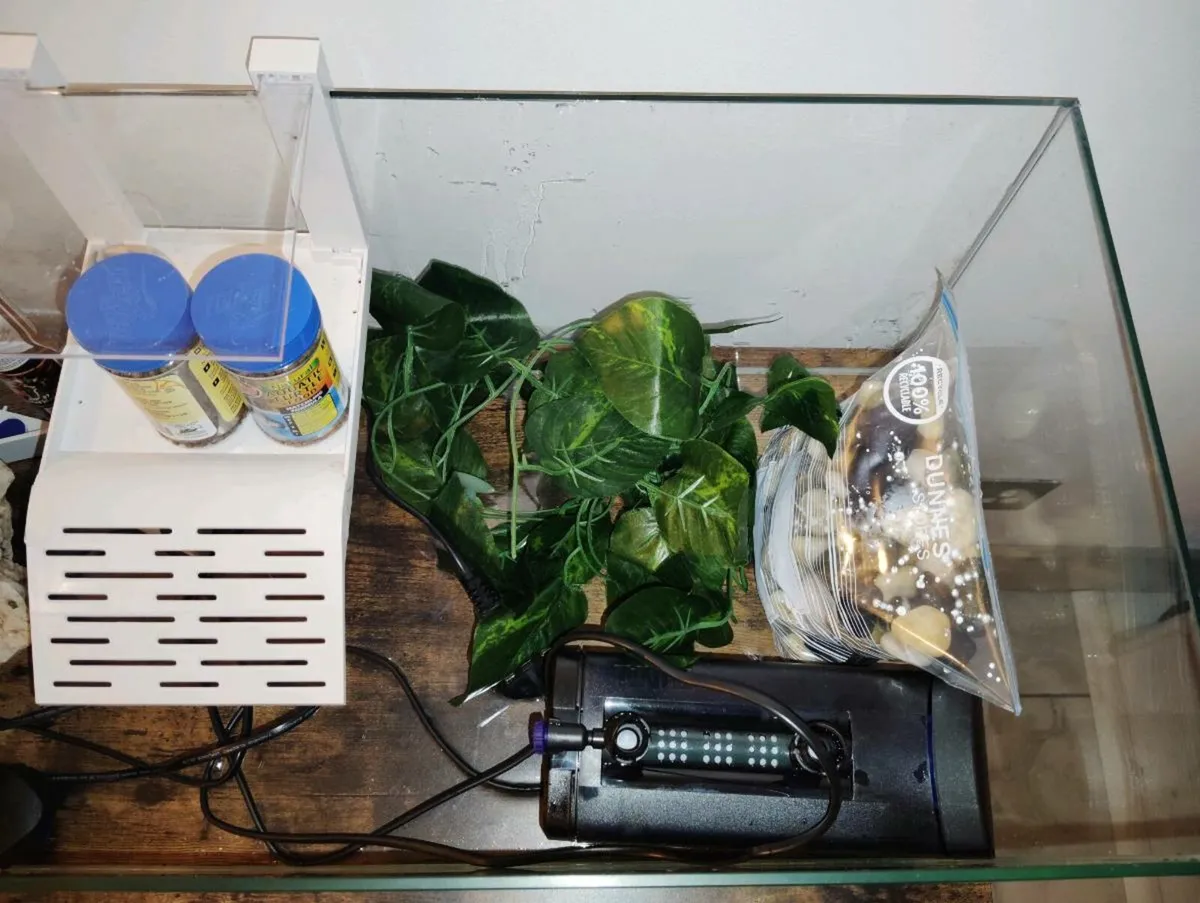Turtle Tank - Image 3