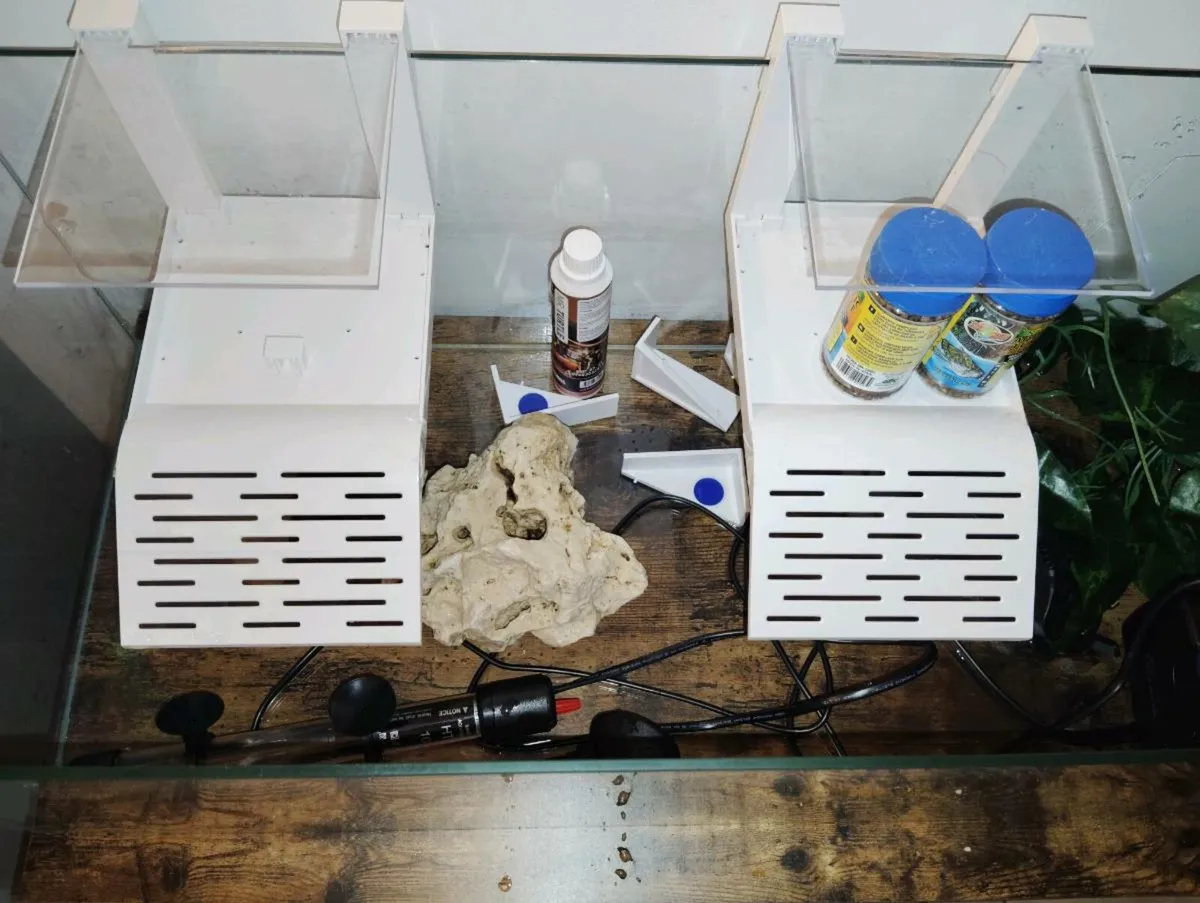 Turtle Tank - Image 4