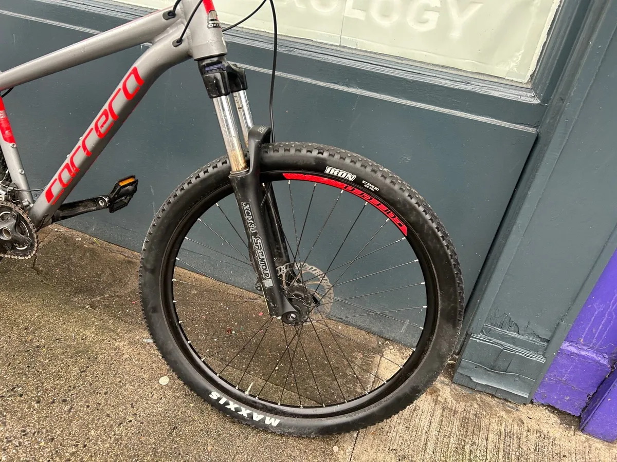 Carrera Sulcata ❗️Open 7 days of the week ❗️ - Image 4