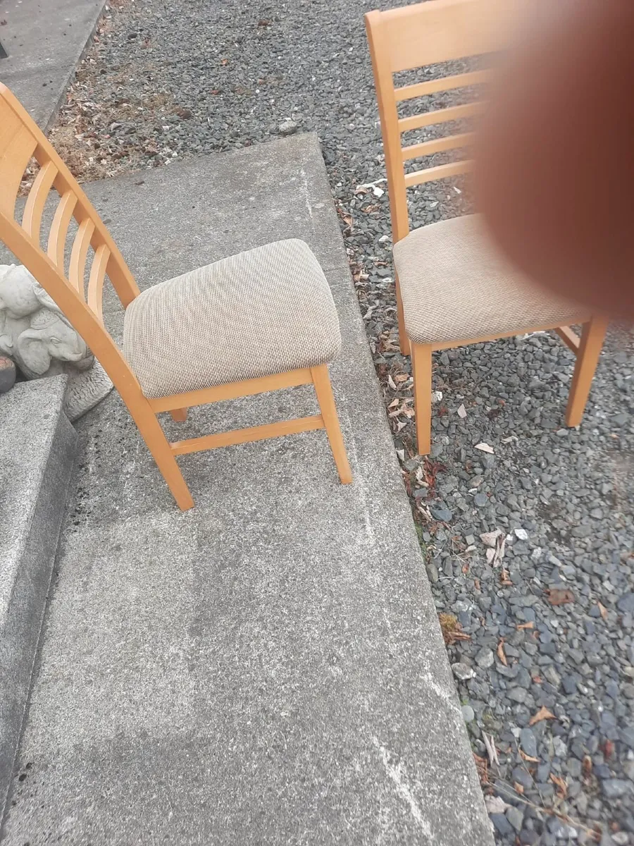 Pair of kitchen chairs - Image 4