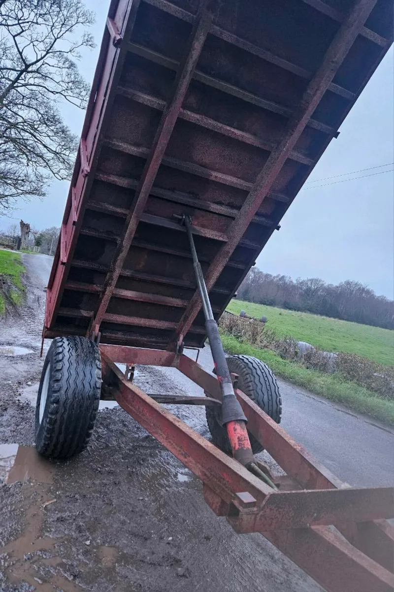 Tipping trailer - Image 3