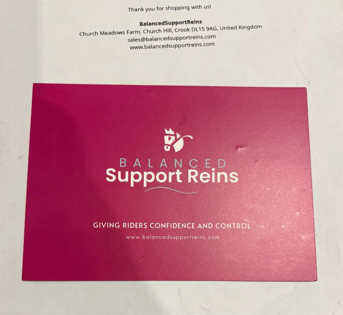 Balance Support Reins with Loop Handle - Image 2