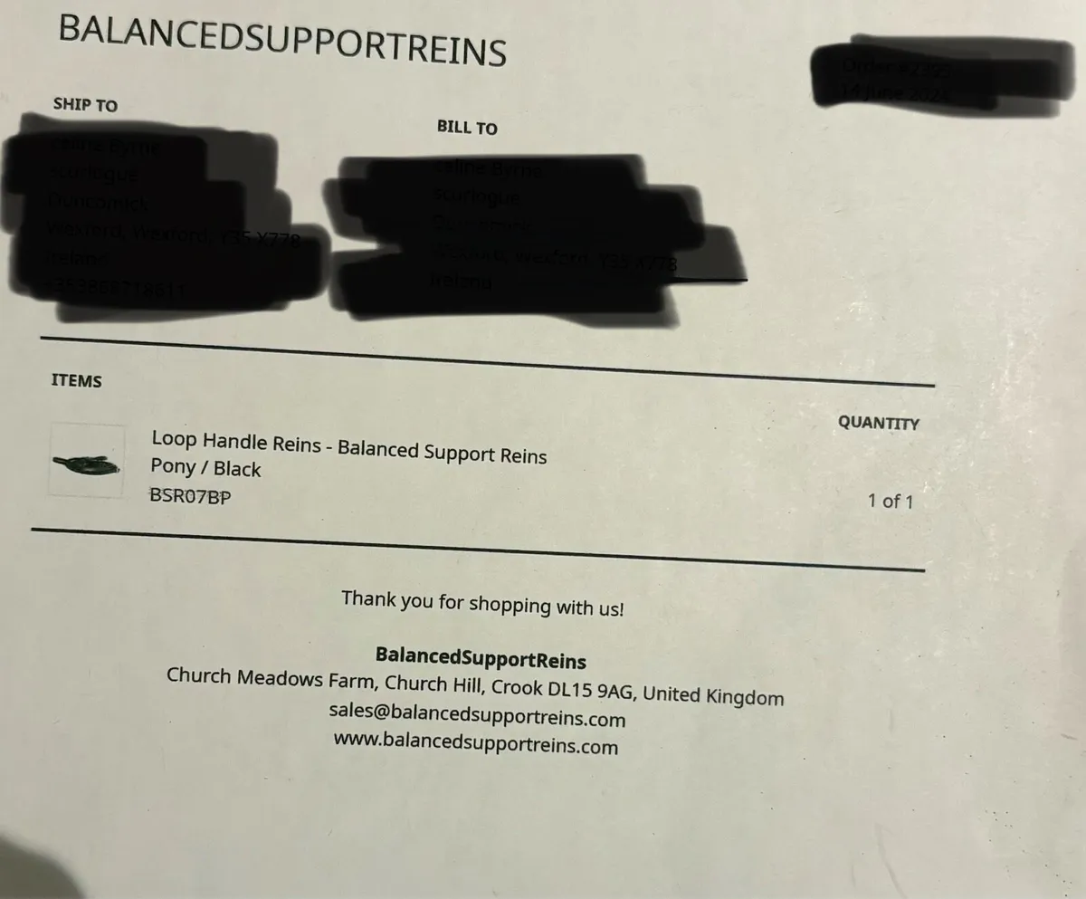 Balance Support Reins with Loop Handle - Image 3