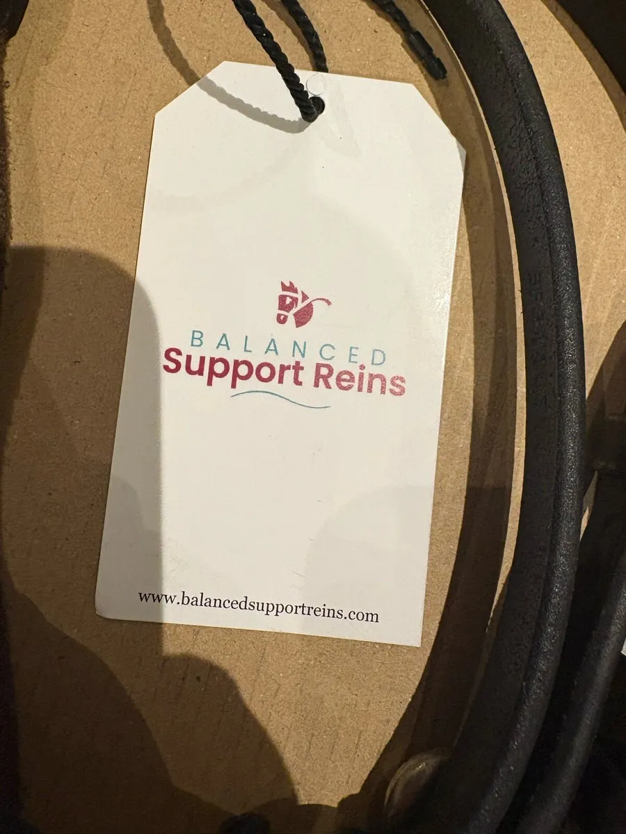 Balance Support Reins with Loop Handle - Image 4