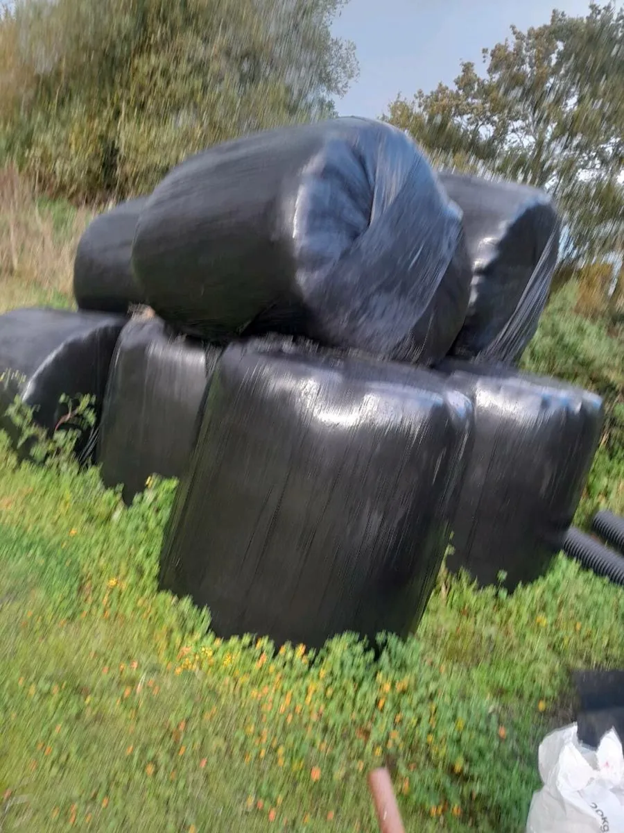 Top class organic horse  haylage - Image 1