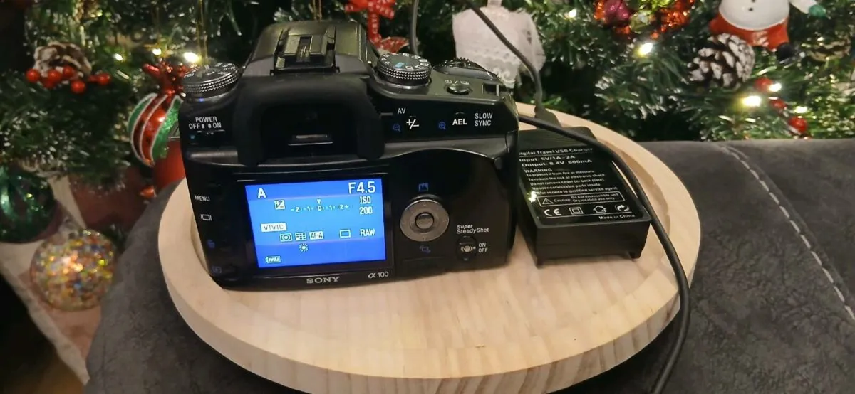 Minolta A 100 - Image 2