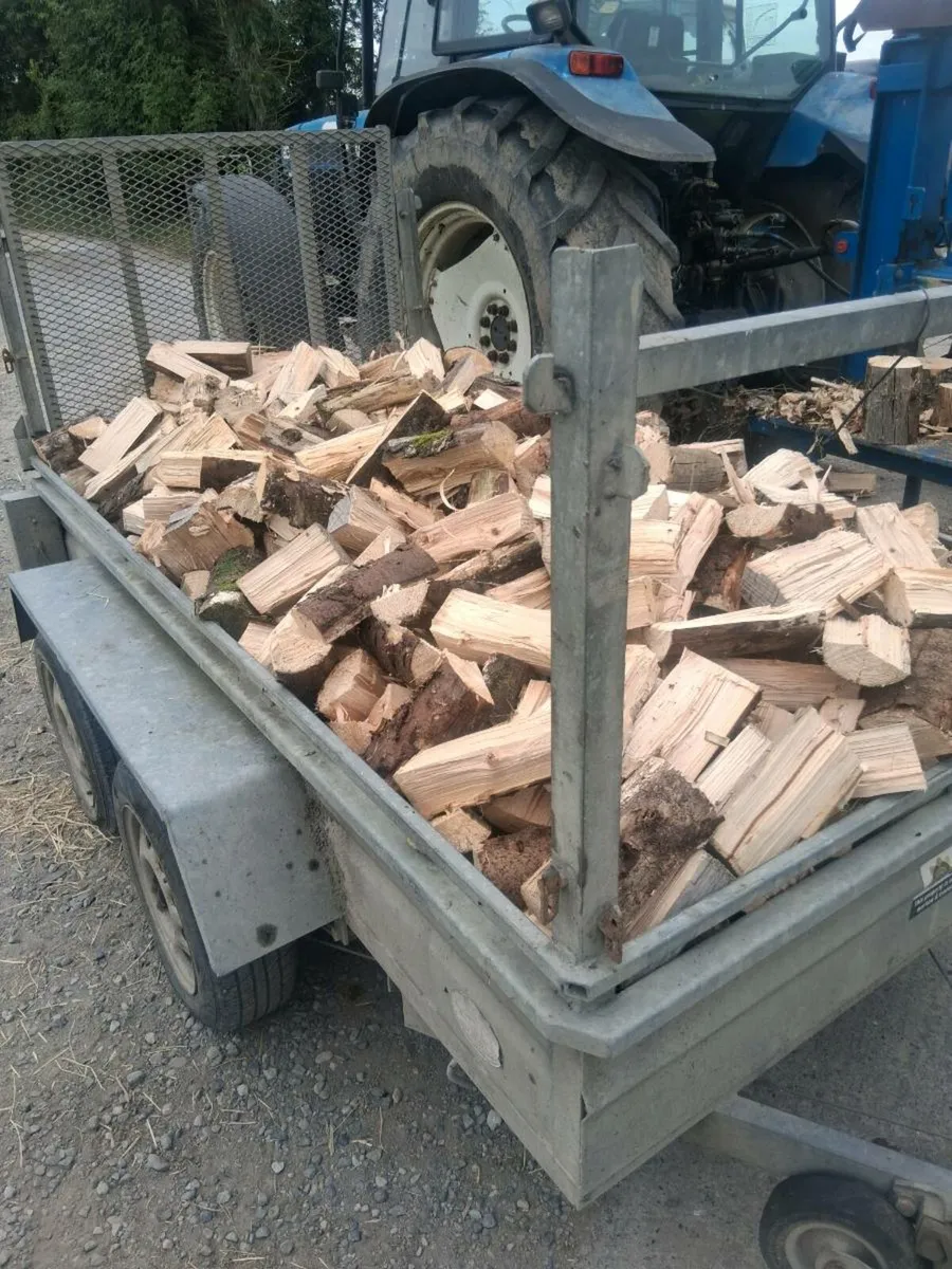 Firewood - Image 1
