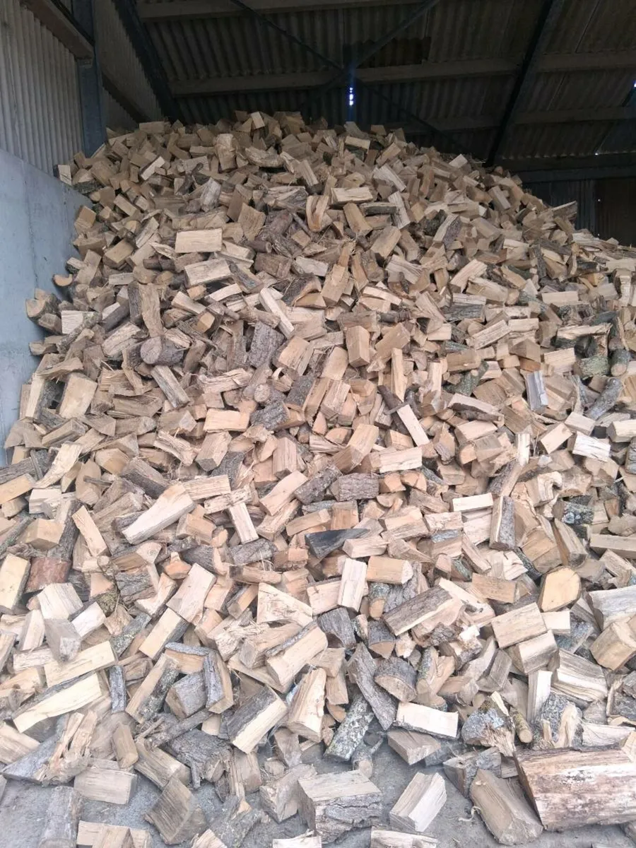 Firewood - Image 2