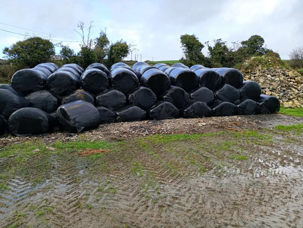 Silage bales