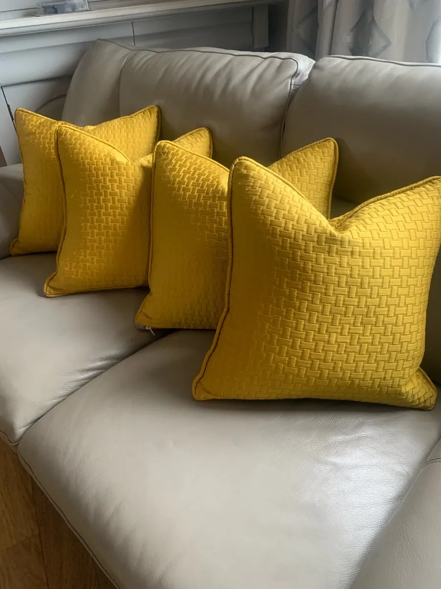 Scatter cushions - Image 1