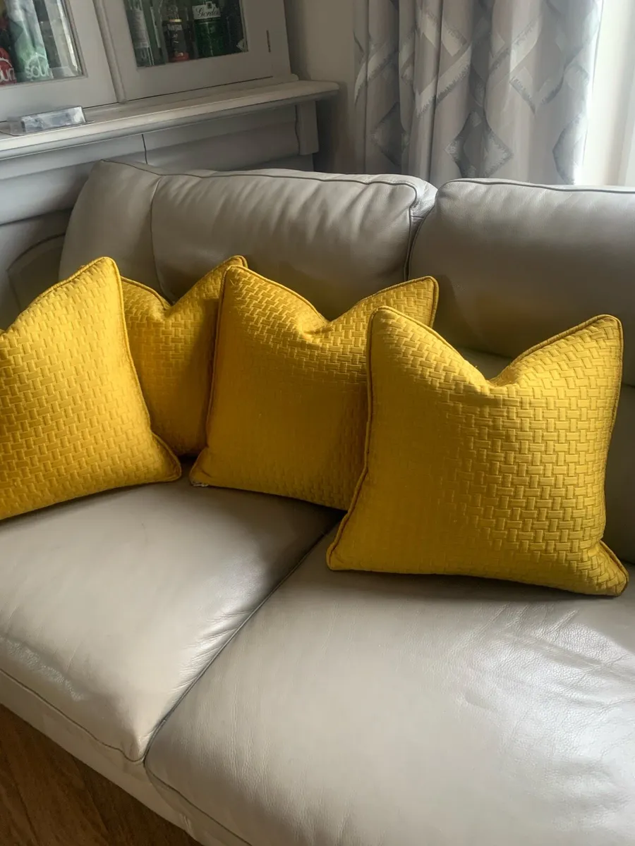 Scatter cushions - Image 4