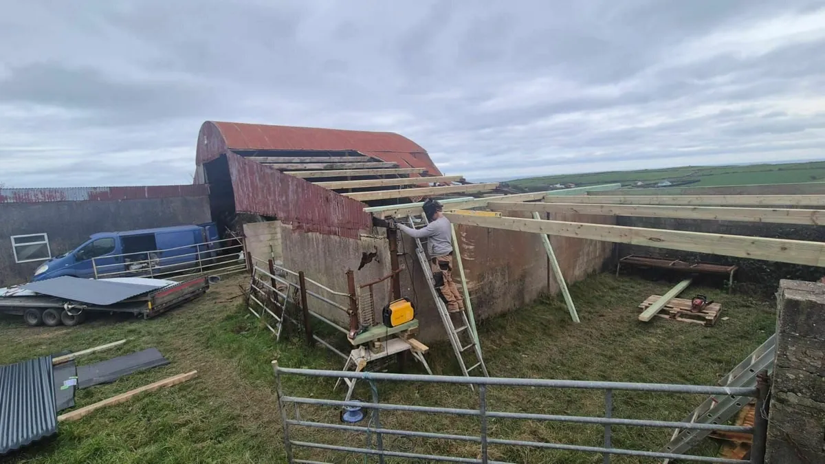 Munster Farm Shed Repairs - Image 2