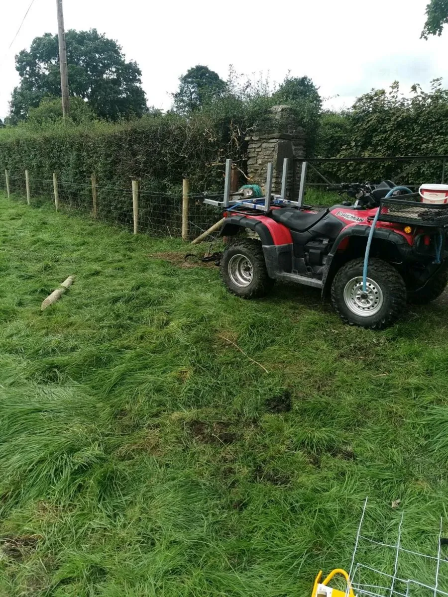 Honda 500 quad - Image 2