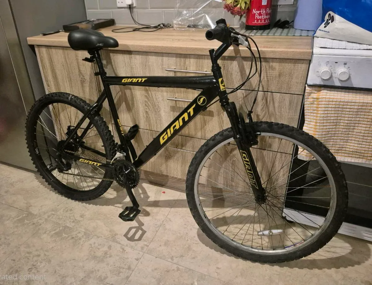 ADULTS GIANT BIKE 20"FRAME FANTASTIC CONDITION GEA - Image 1