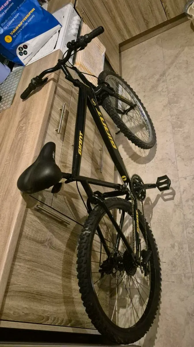 ADULTS GIANT BIKE 20"FRAME FANTASTIC CONDITION GEA - Image 3