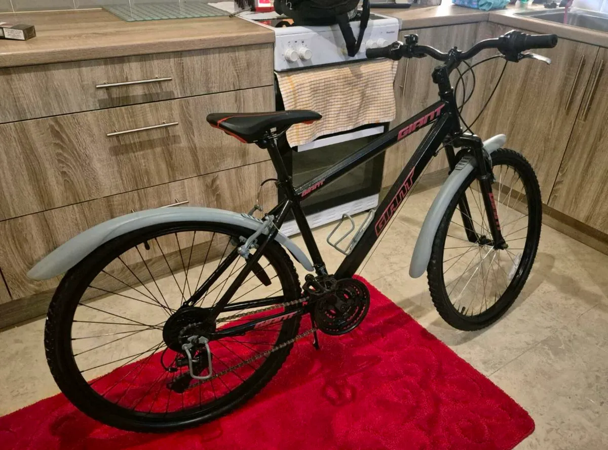 ADULTS GIANT BIKE 16"FRAME FANTASTIC CONDITION GEA - Image 3