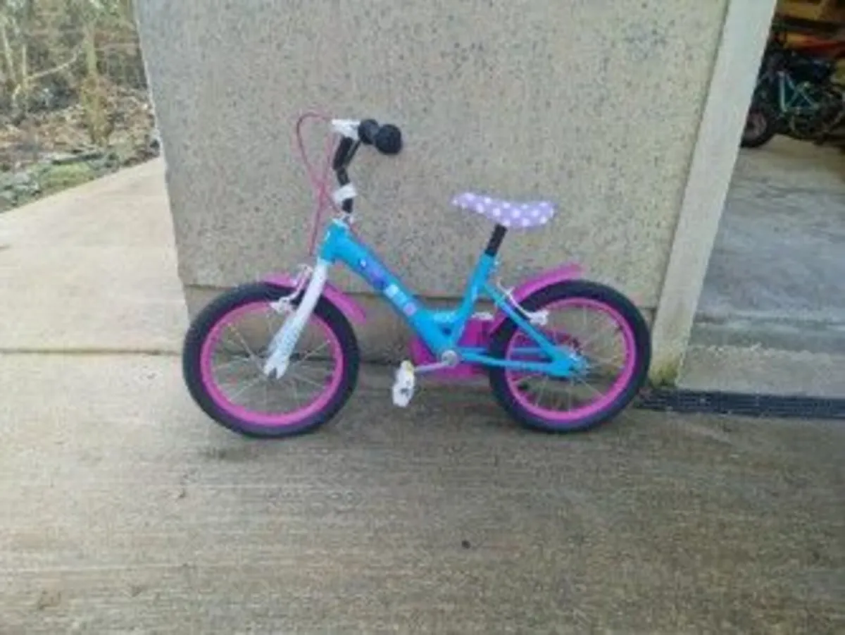 Small Girls Bike