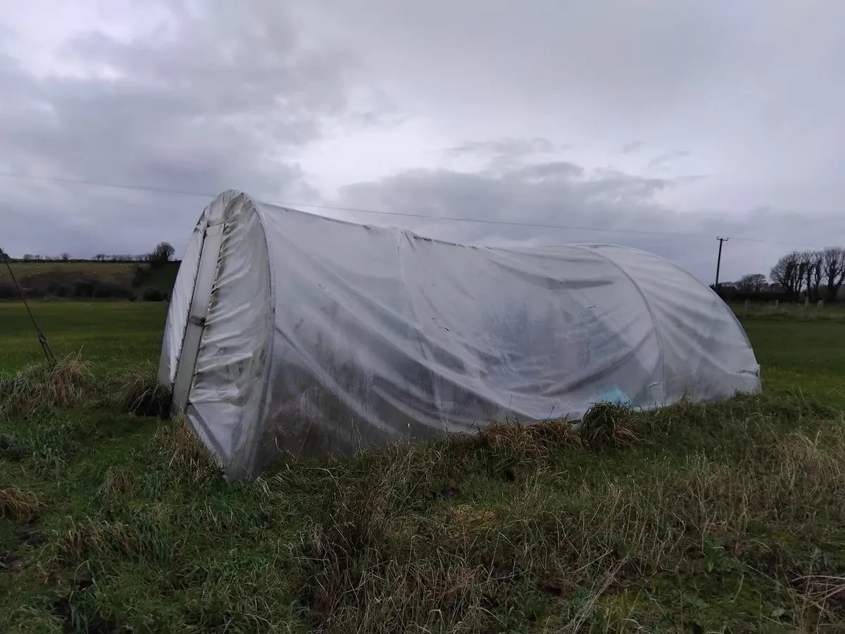 Polythene tunnel - Image 1