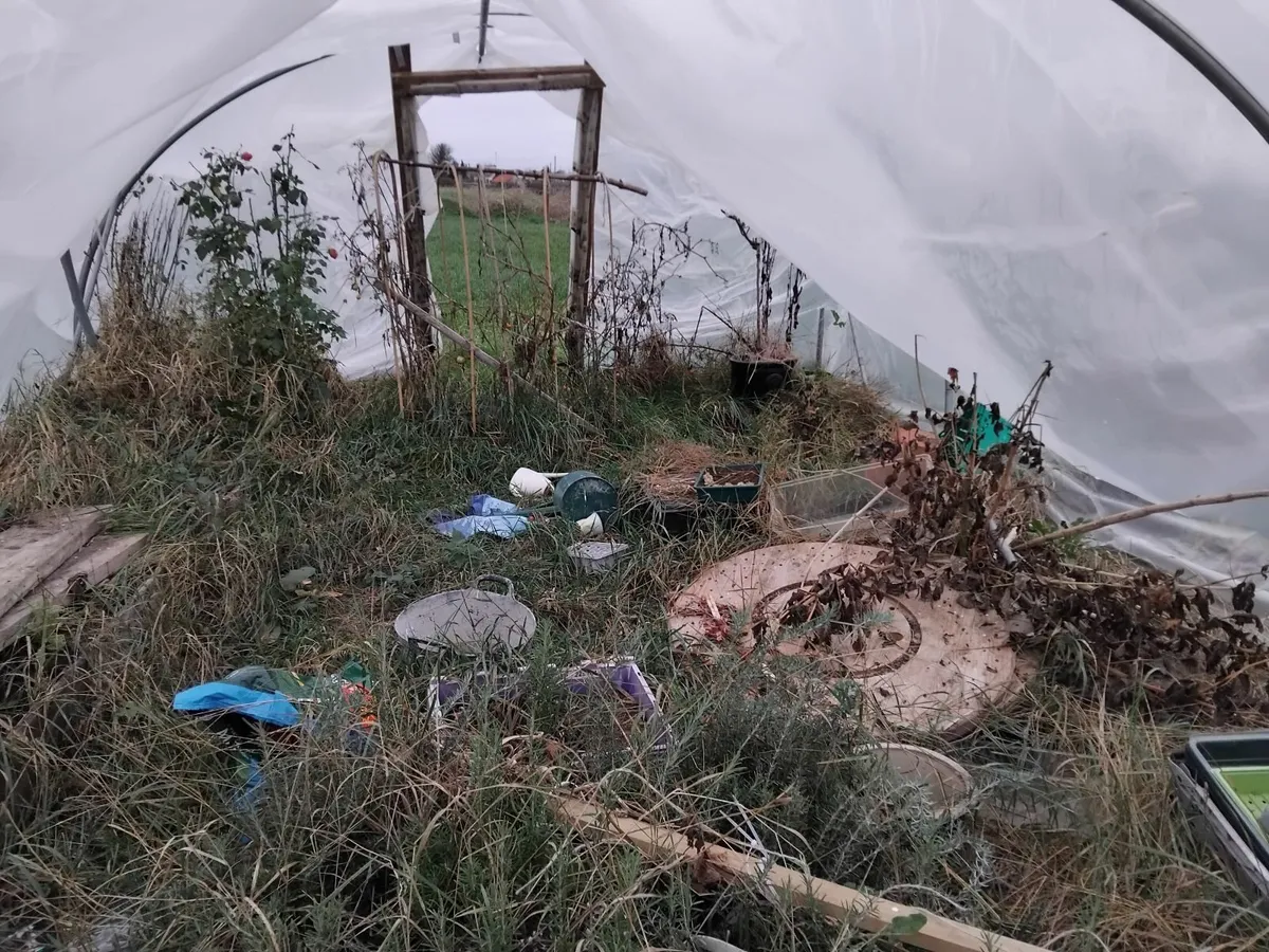 Polythene tunnel - Image 2
